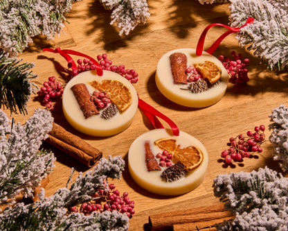 Christmas Time Tree Decorations, Box of 3 - Orange, Cinnamon and Clove