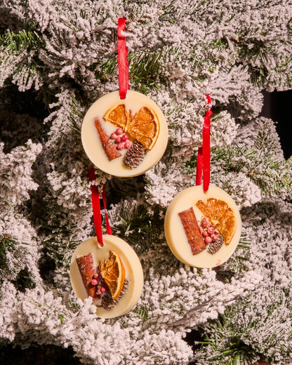 Christmas Time Tree Decoration BOX 20 - Orange, Cinnamon and Clove